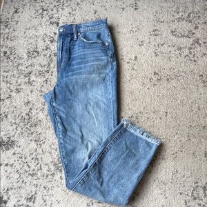 Madewell Perfect Vintage Jean